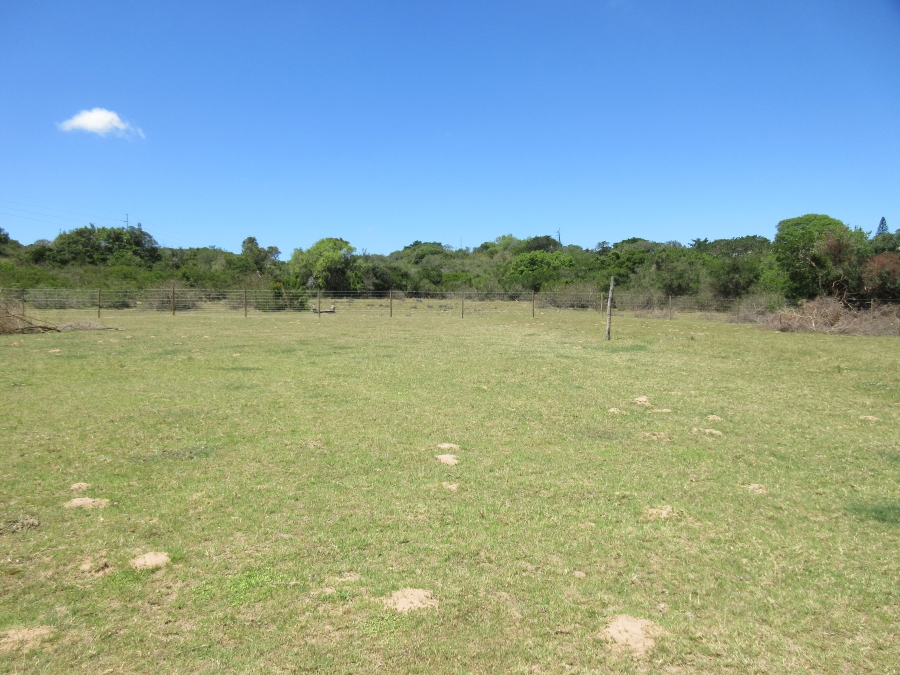 0 Bedroom Property for Sale in Bathurst Eastern Cape